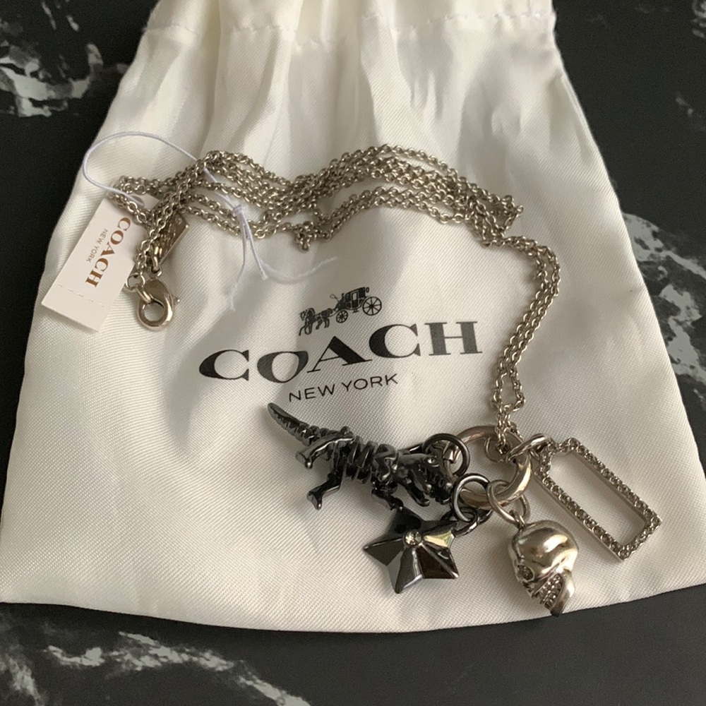 Coach NWT Rexy Skull Charm Set Necklace Silver